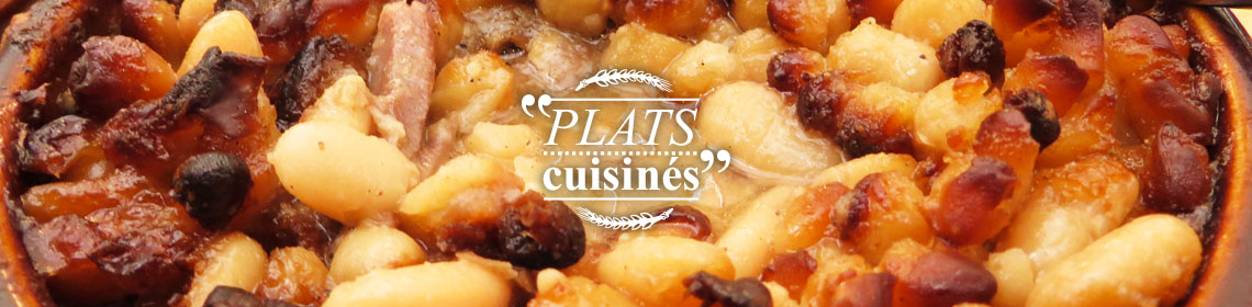 Plats cuisines